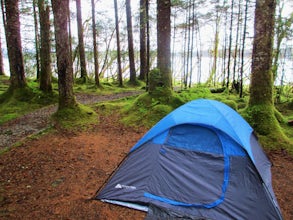 Camp at Bartlett Cove Campground in Glacier Bay NP