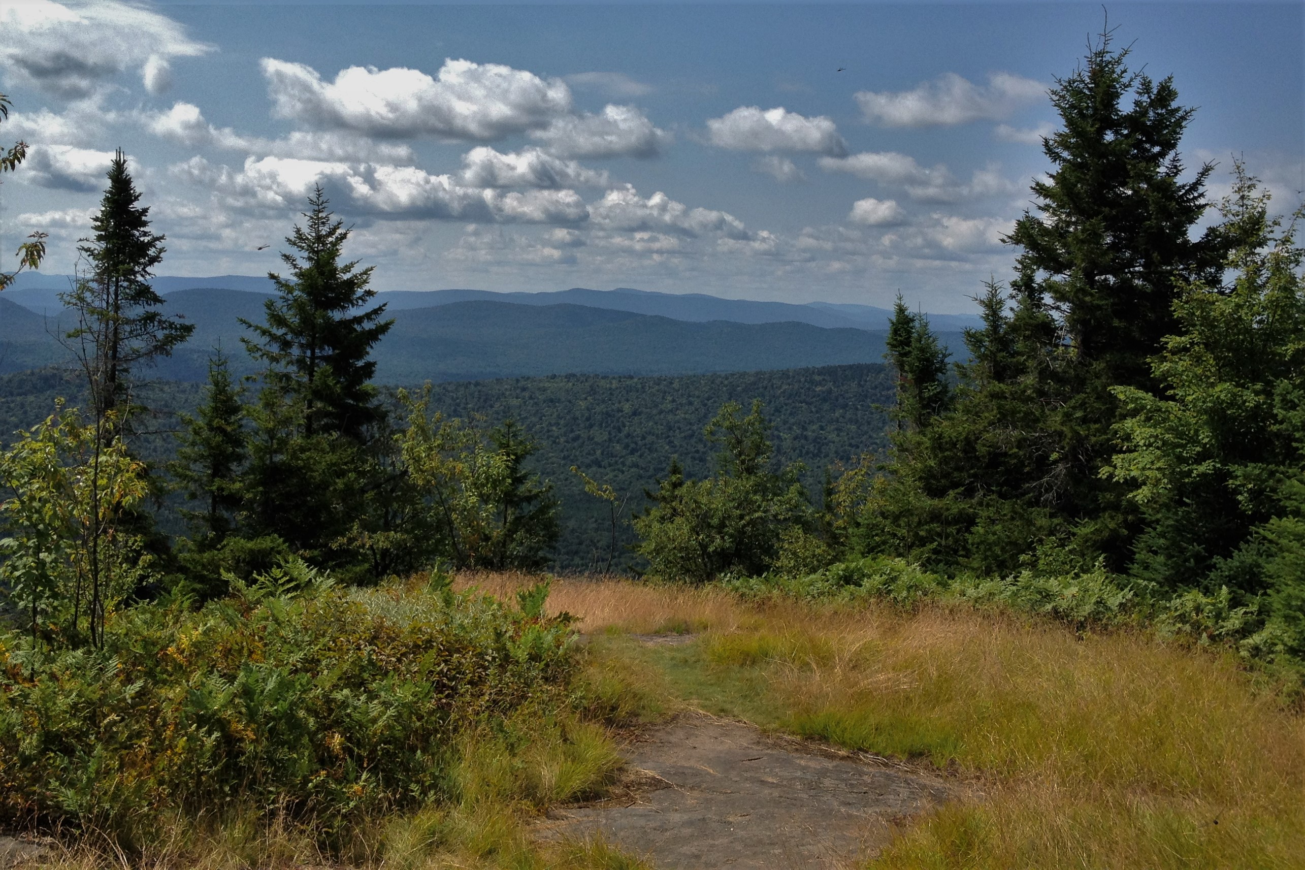 Owls Head Mountain Fire Tower