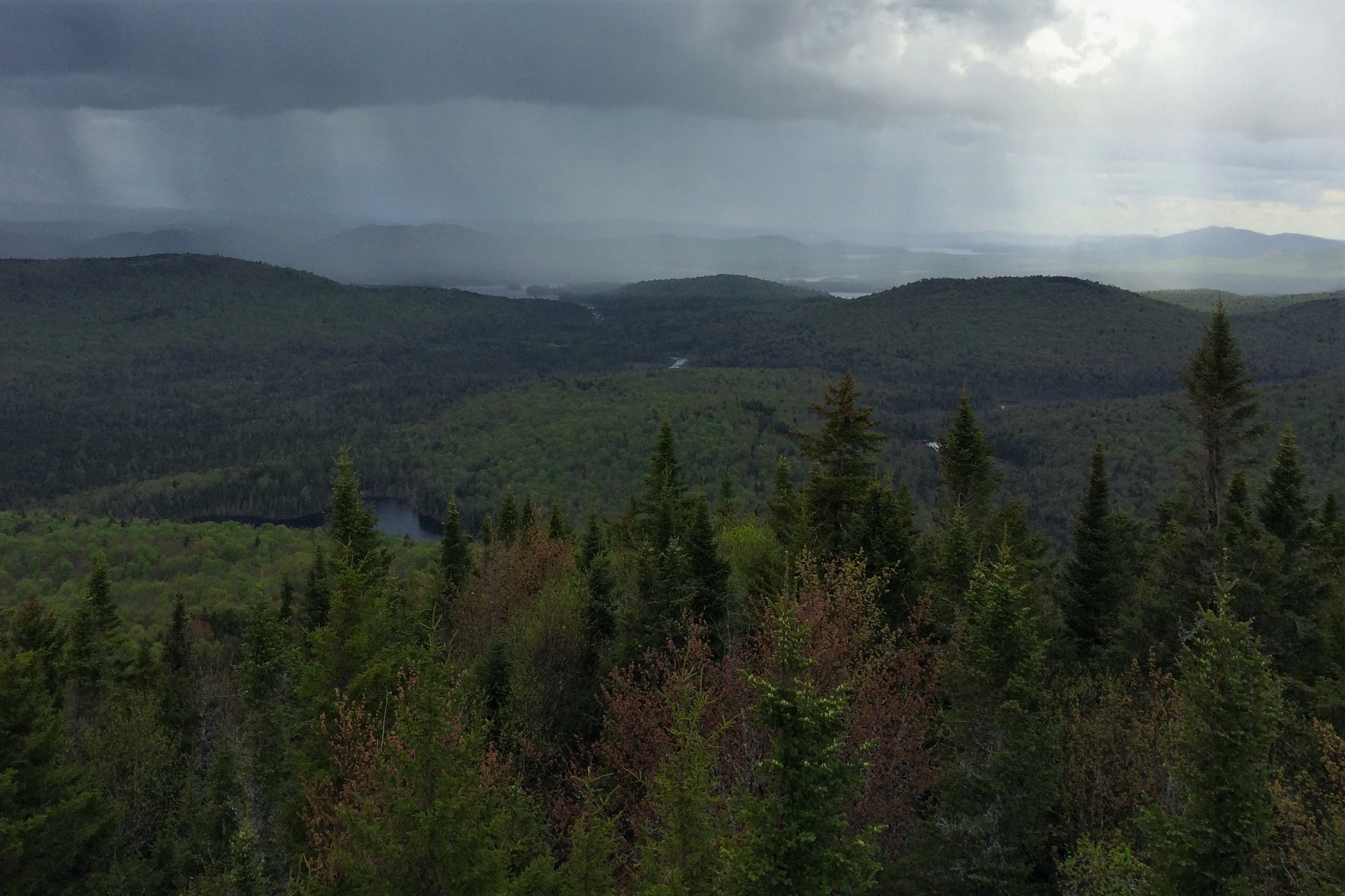 Owls Head Mountain Fire Tower