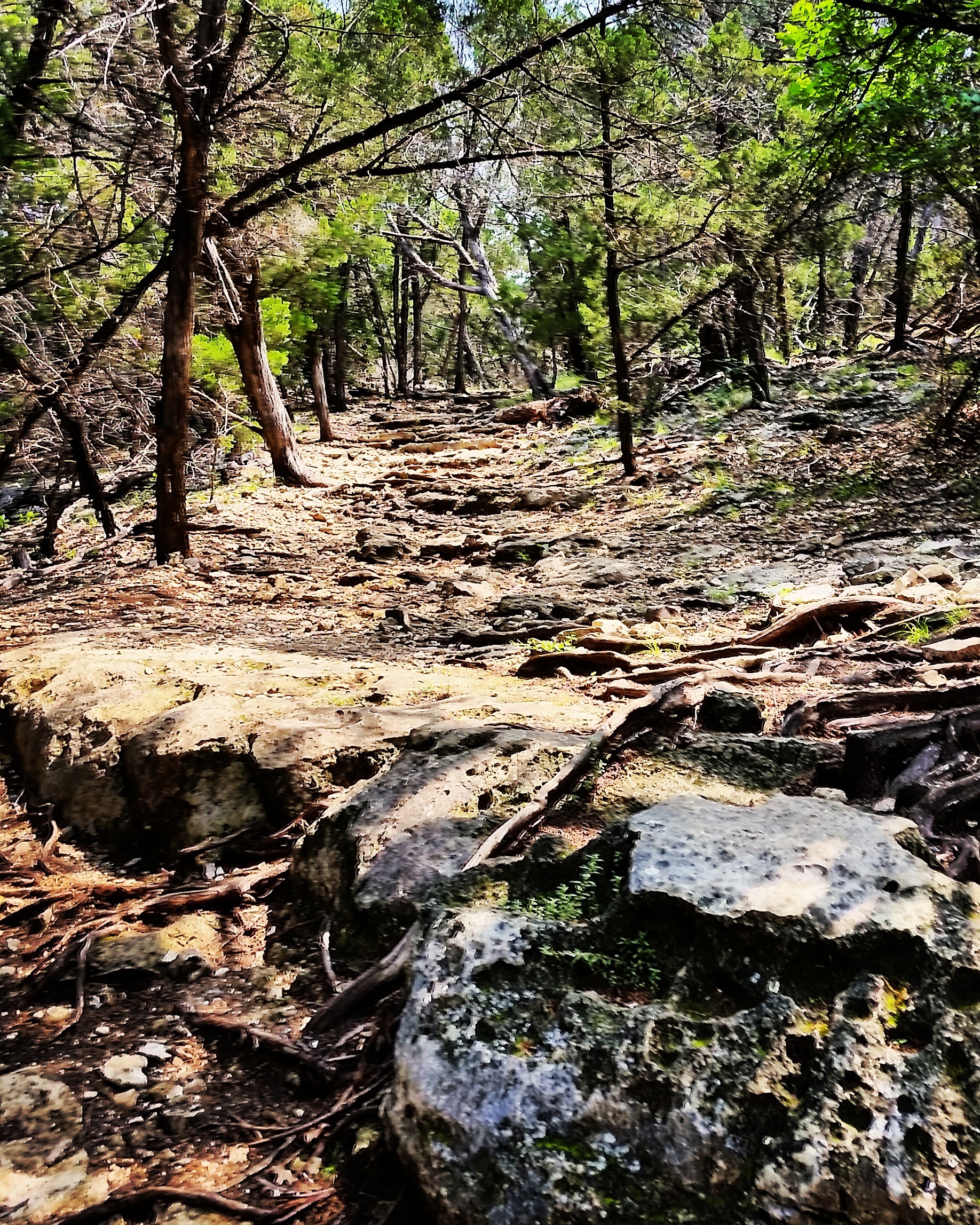 Crockett Gardens and Falls