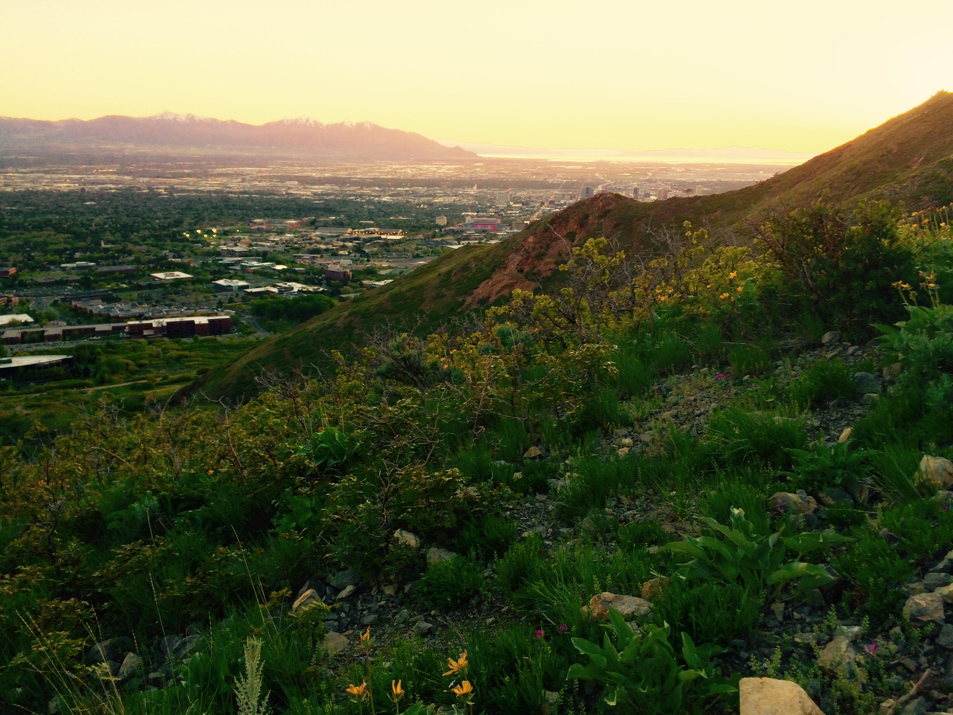 Hike the Living Room