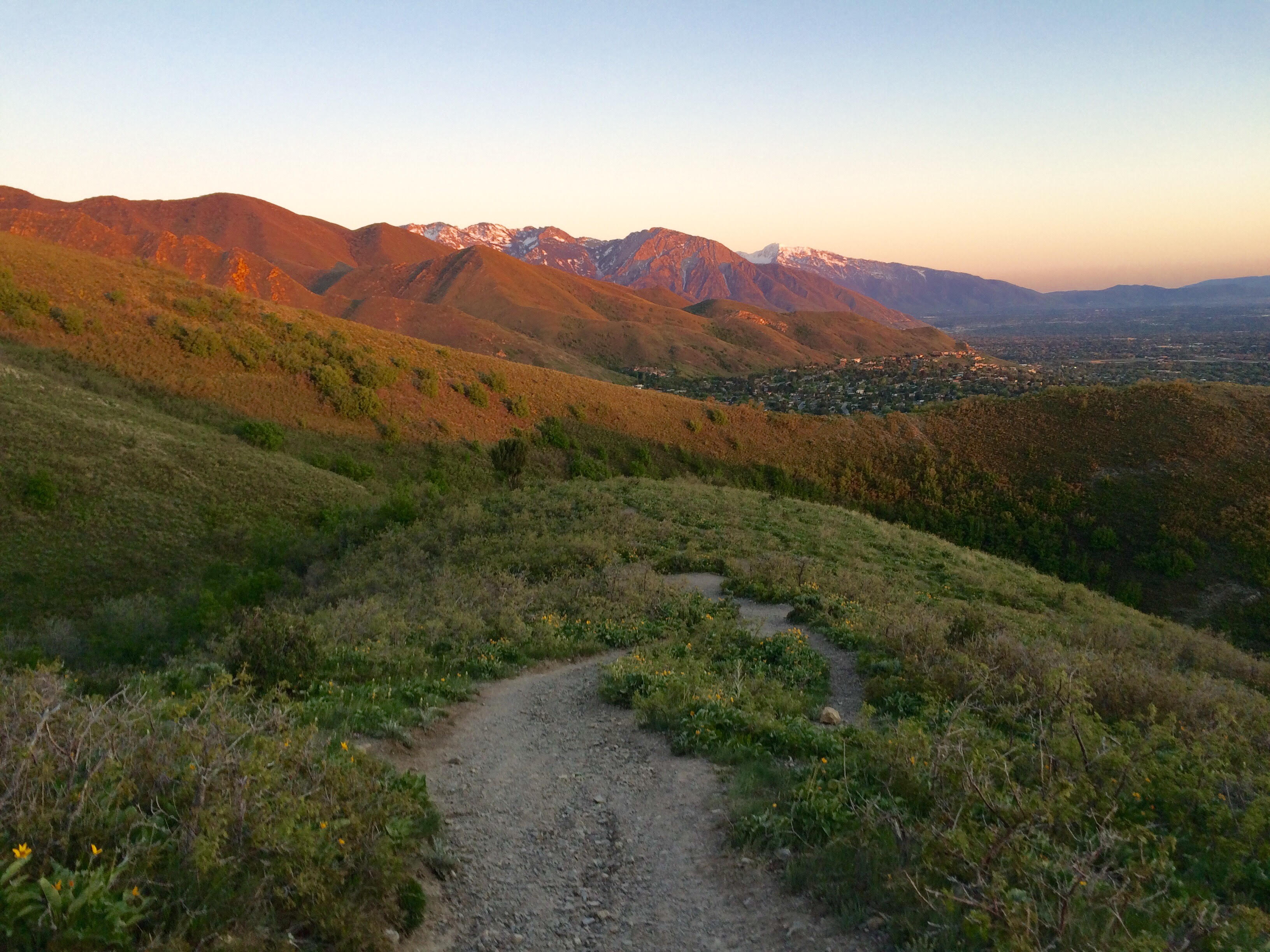 Hike the Living Room