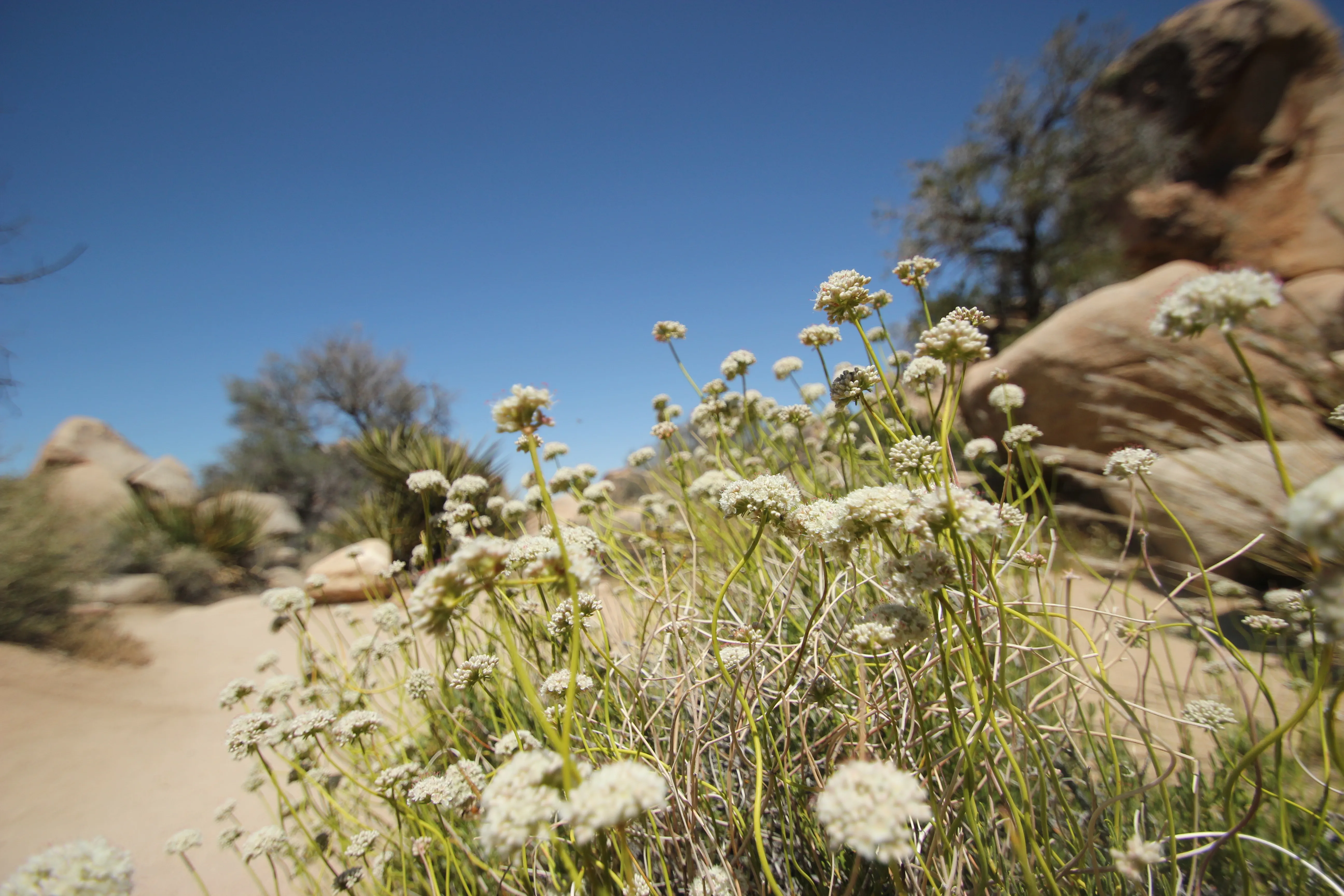 Hidden Valley Nature Trail