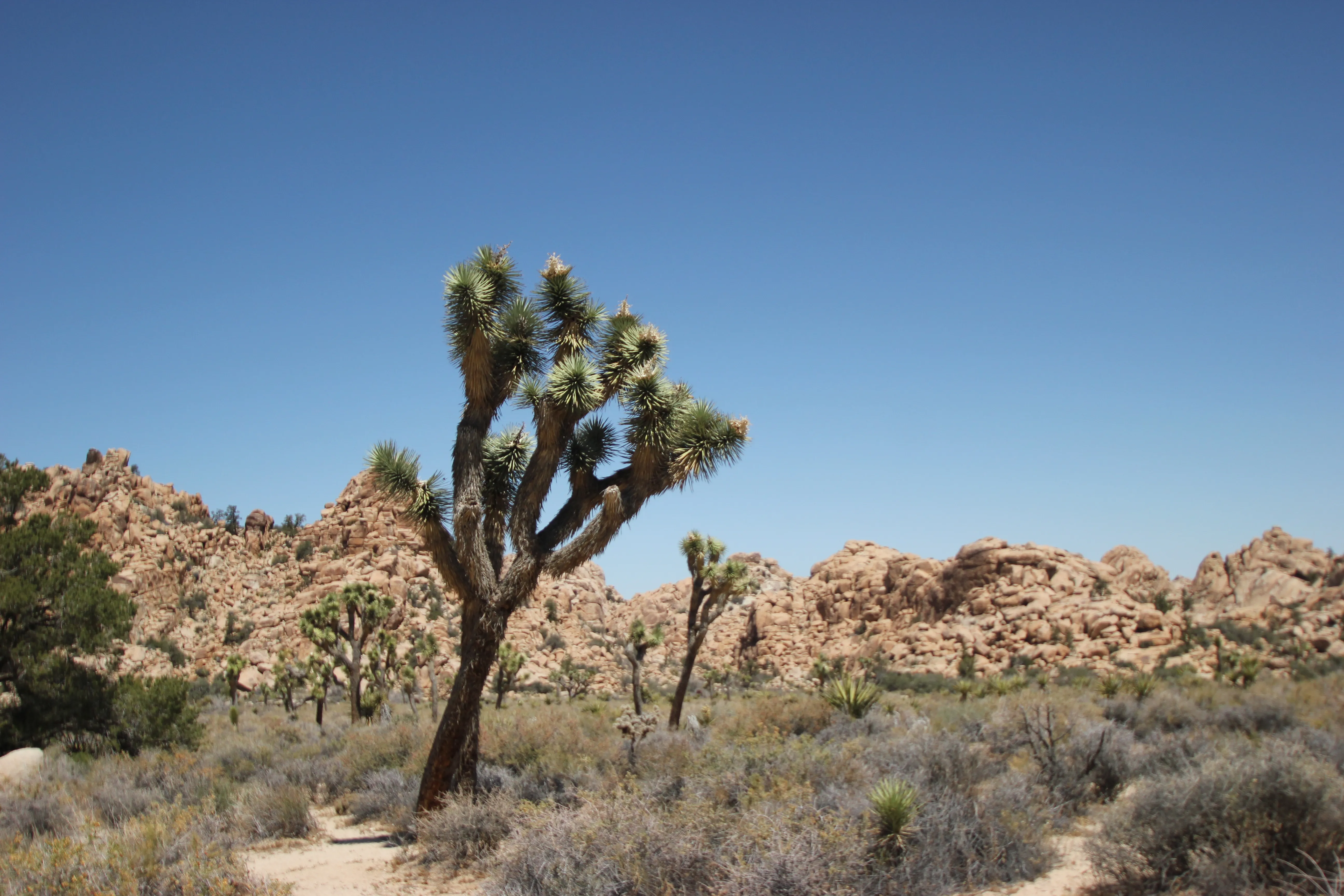 Hidden Valley Nature Trail