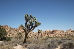 Hidden Valley Nature Trail