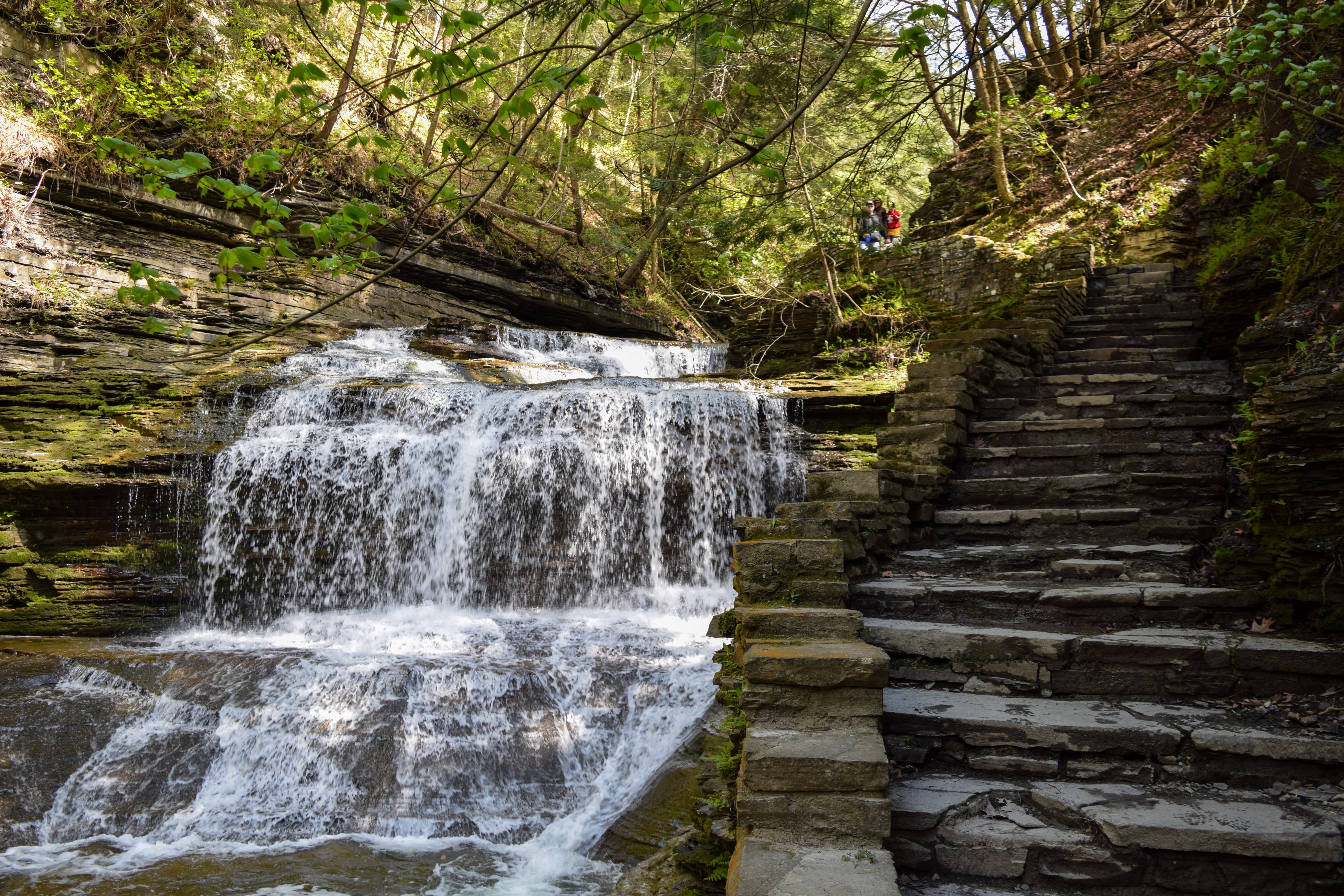 Gorge Trail at Buttermilk Falls