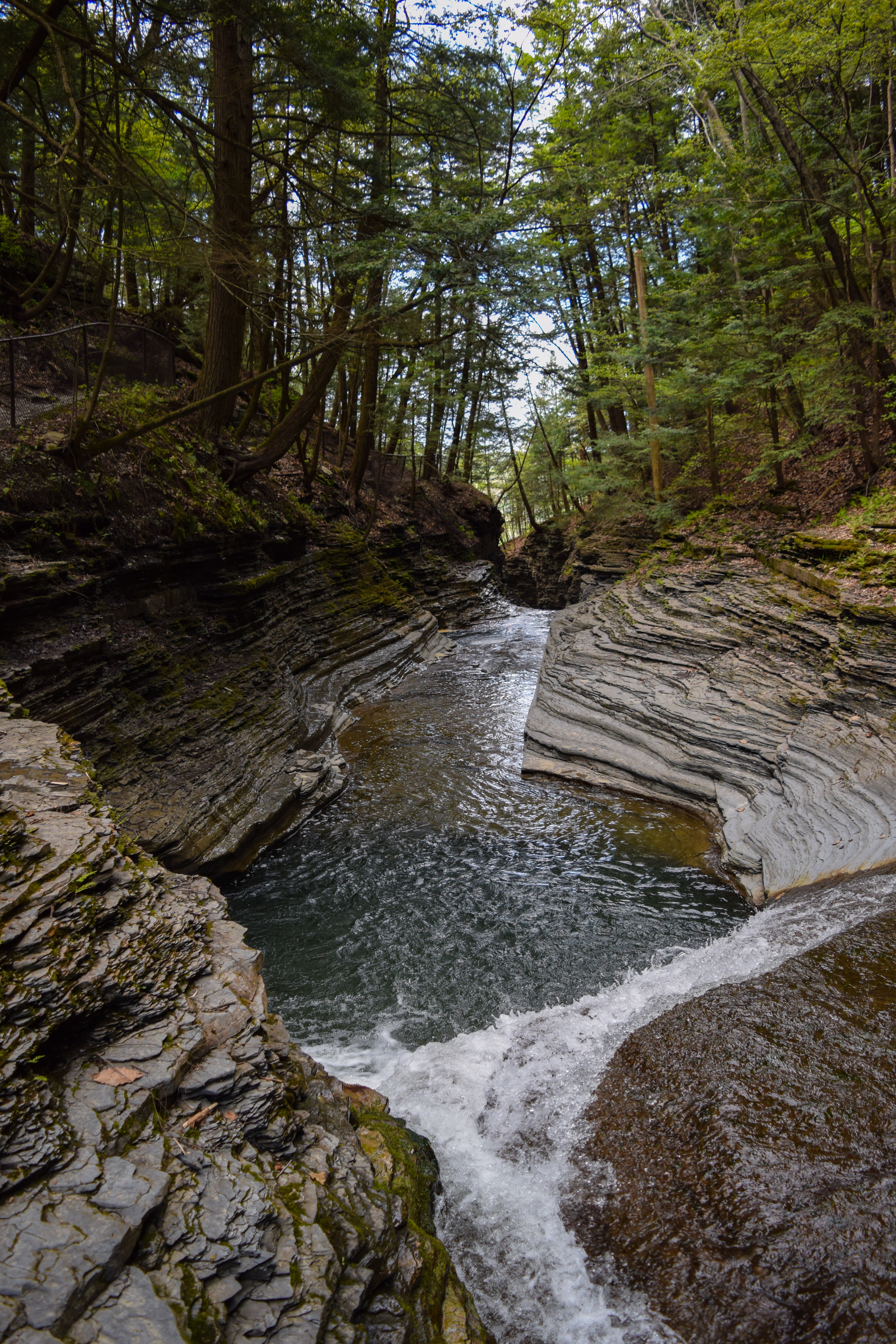 Gorge Trail at Buttermilk Falls