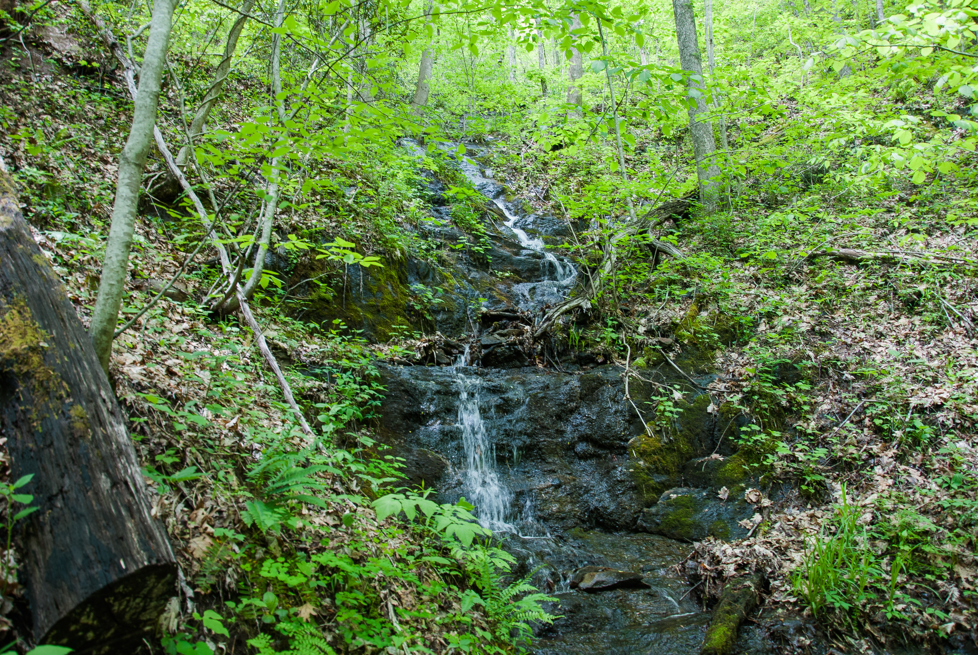Hike to Lonesome Pine Overlook