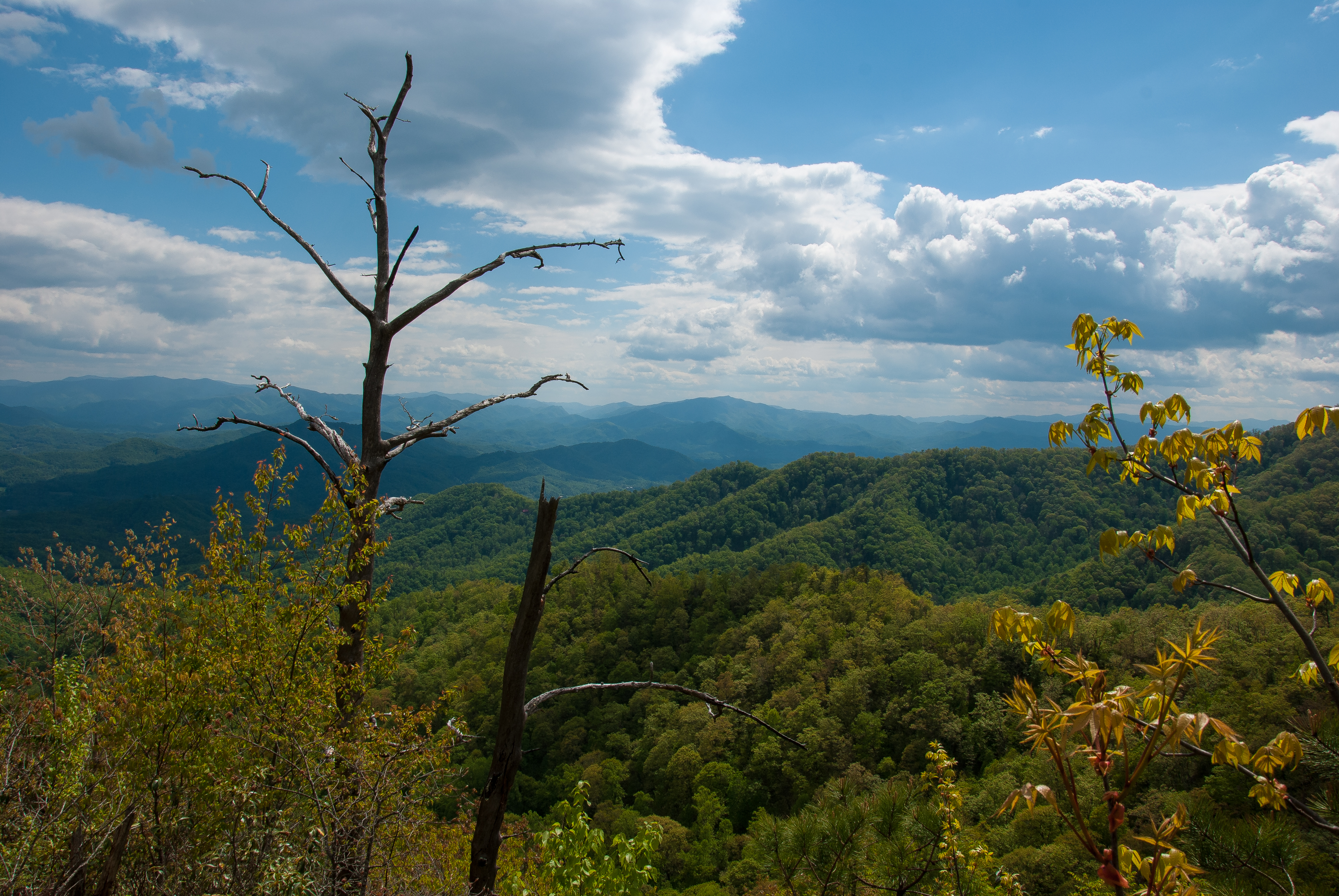 Hike to Lonesome Pine Overlook, Bryson City, North Carolina