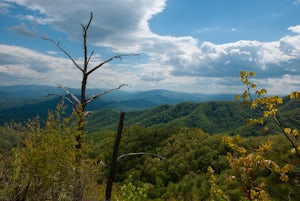 Hike to Lonesome Pine Overlook