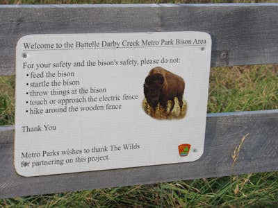 Visit Bison at Battelle Darby Creek Metro Park 