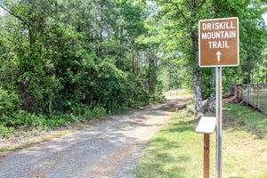 Hike Driskill Mountain