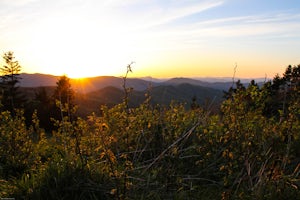 Graveyard Fields-Black Balsam Knob Circuit