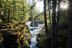 Explore the Rogue River Gorge