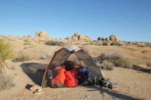 Backcountry Camp in Joshua Tree 