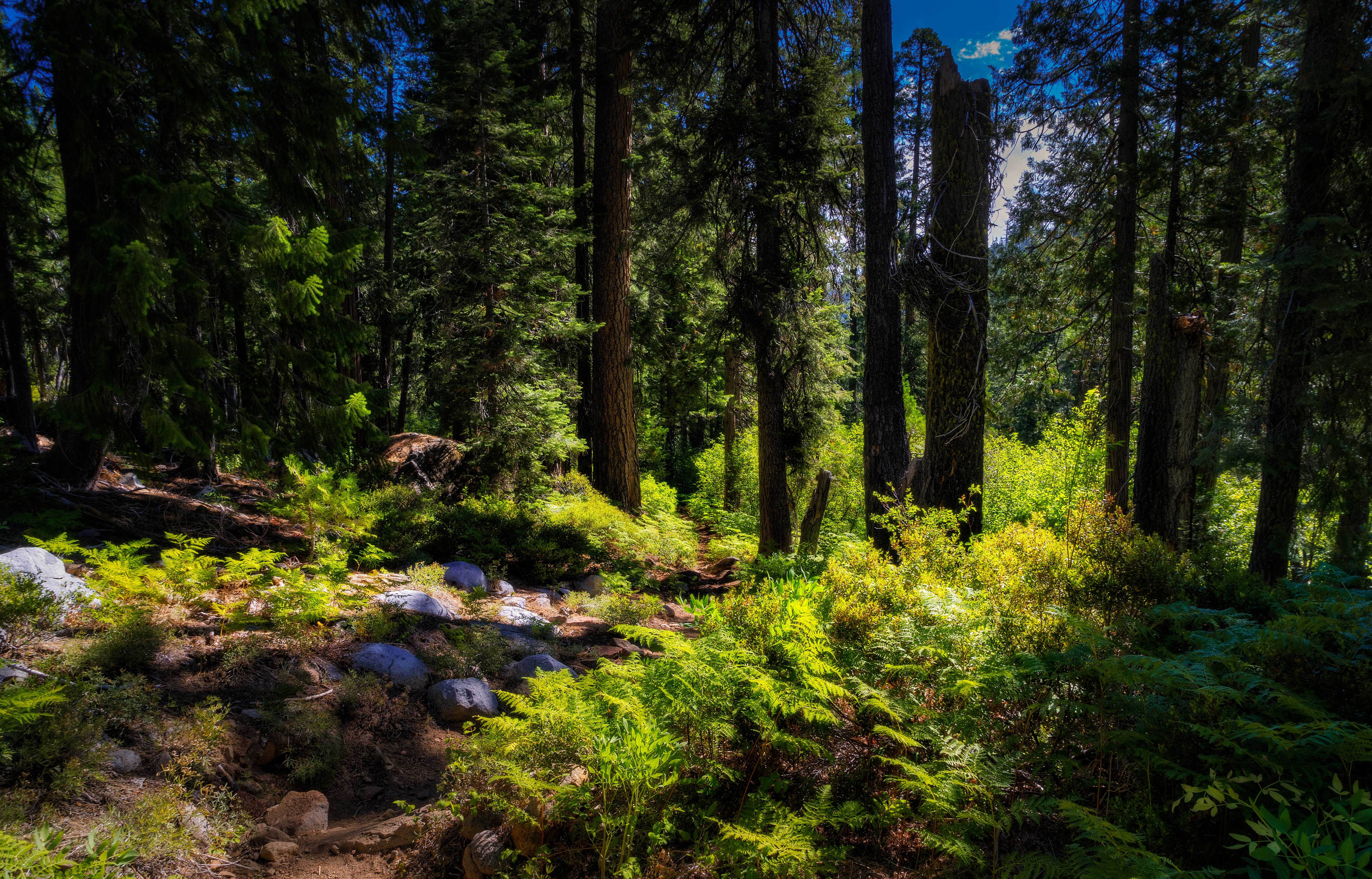 Backpack to Bear Basin and The Four Lakes Loop