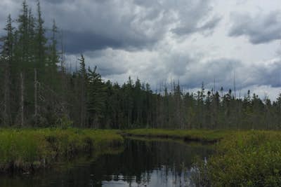 Hike to Shallow Lake in the Pigeon Lake Wilderness