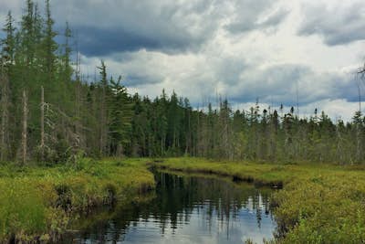 Hike to Shallow Lake in the Pigeon Lake Wilderness