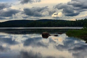 Hike to Shallow Lake in the Pigeon Lake Wilderness