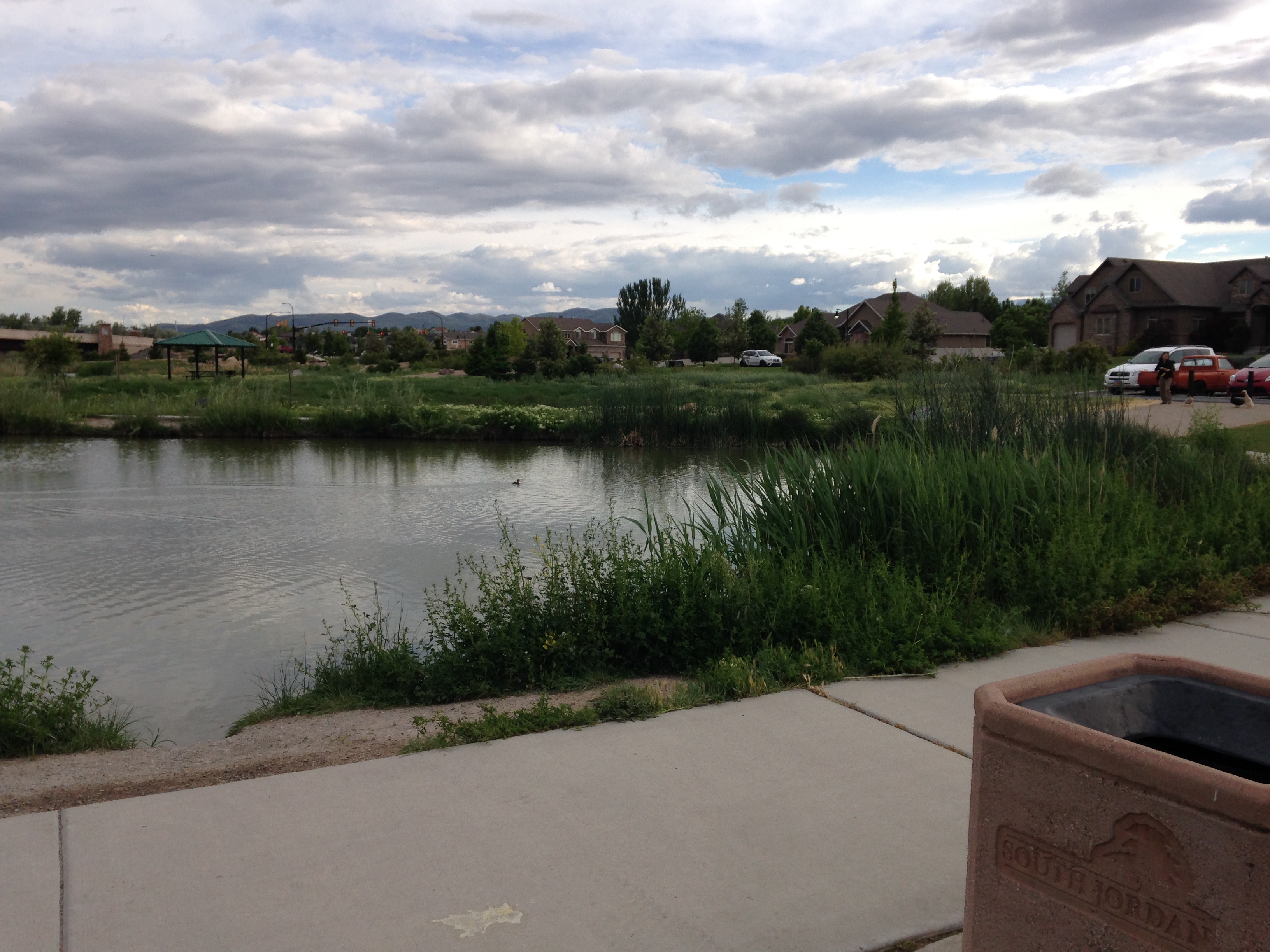 Fish at the East Riverfront Fishing Ponds