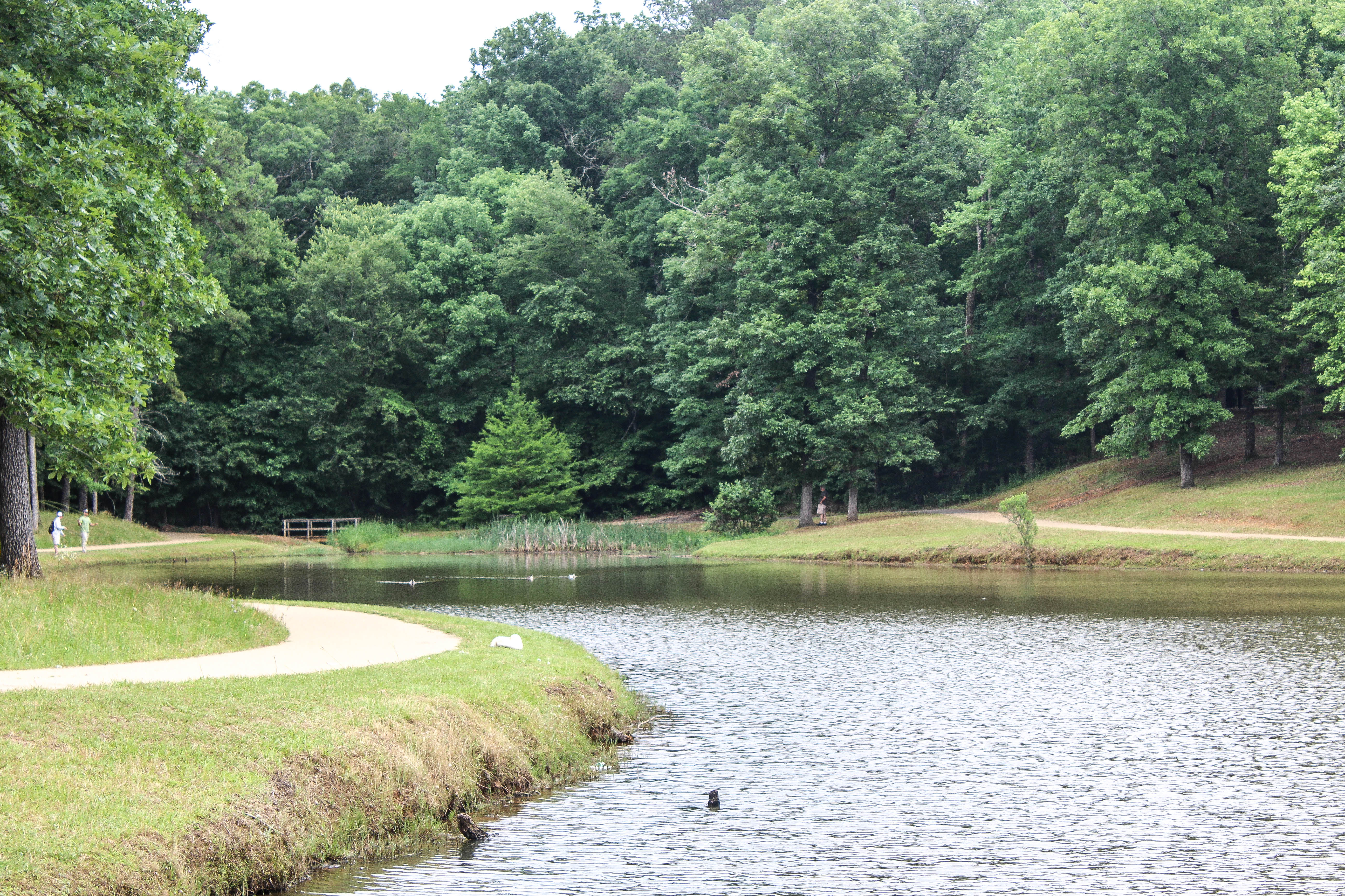 Mountain Bike in Lincoln Parish Park