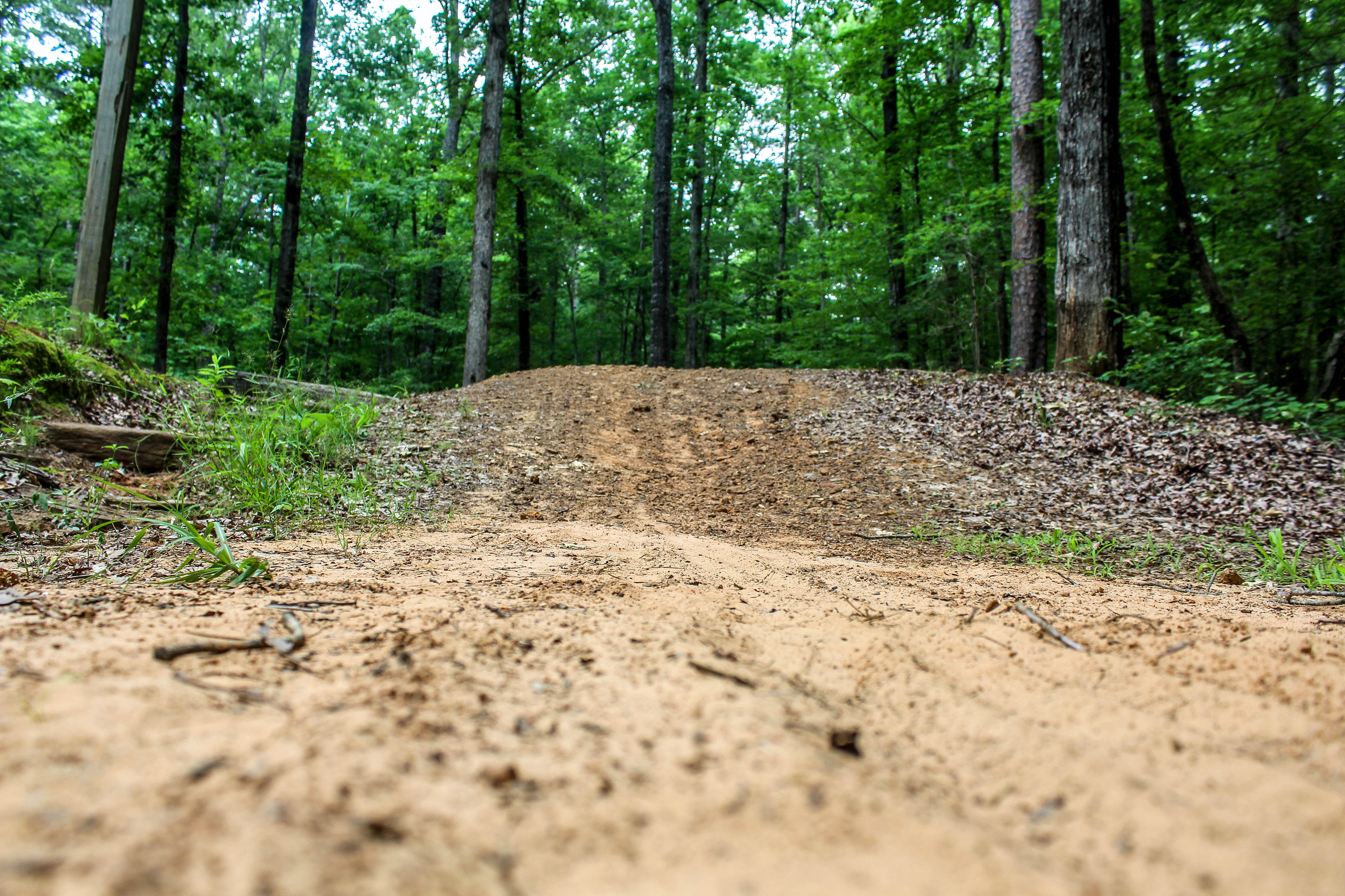 Mountain Bike in Lincoln Parish Park