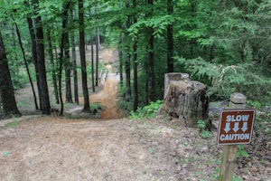 Mountain Bike in Lincoln Parish Park