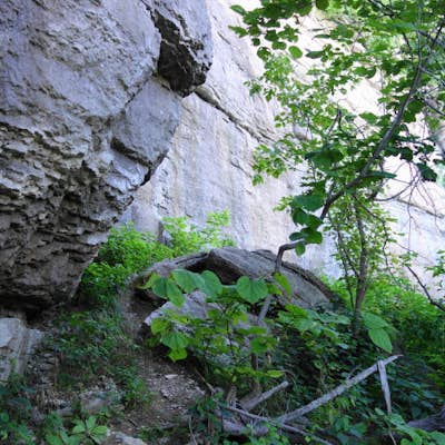 Hike to the Cave at Asbury Trails