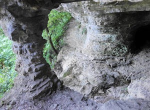 Hike to the Cave at Asbury Trails