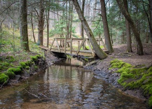 Hike the Minister Creek Trail