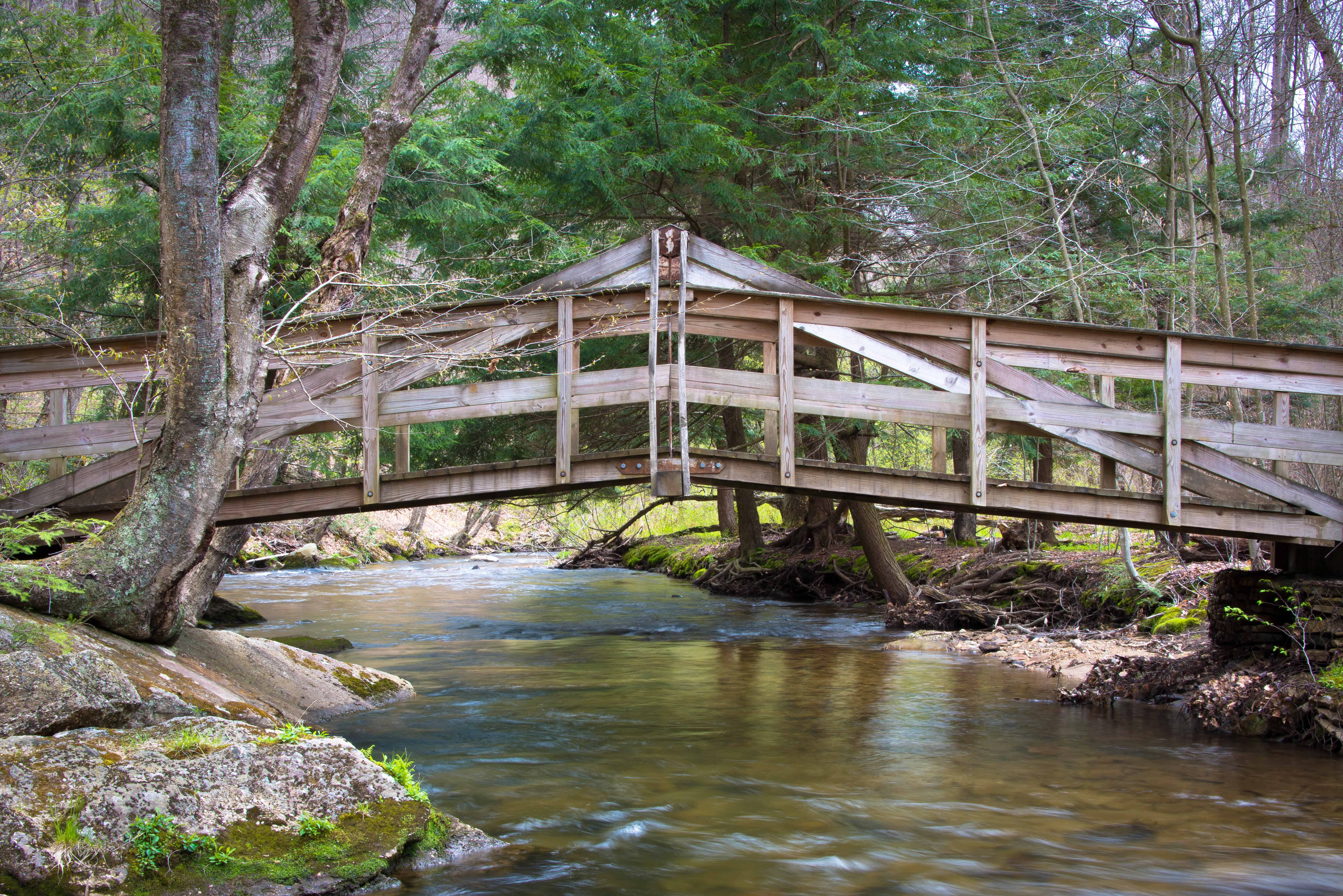 Hike the Minister Creek Trail