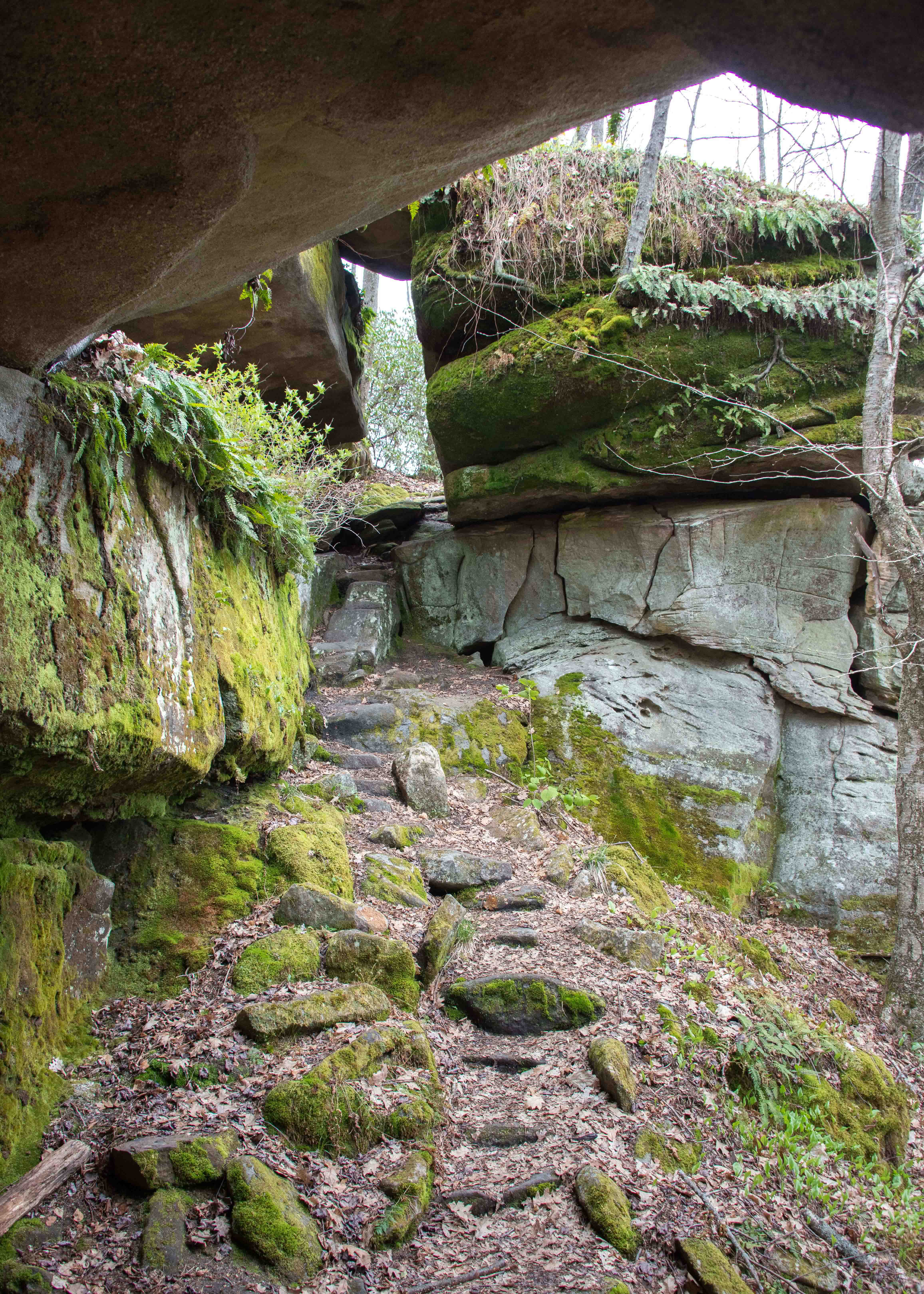 Hike the Minister Creek Trail