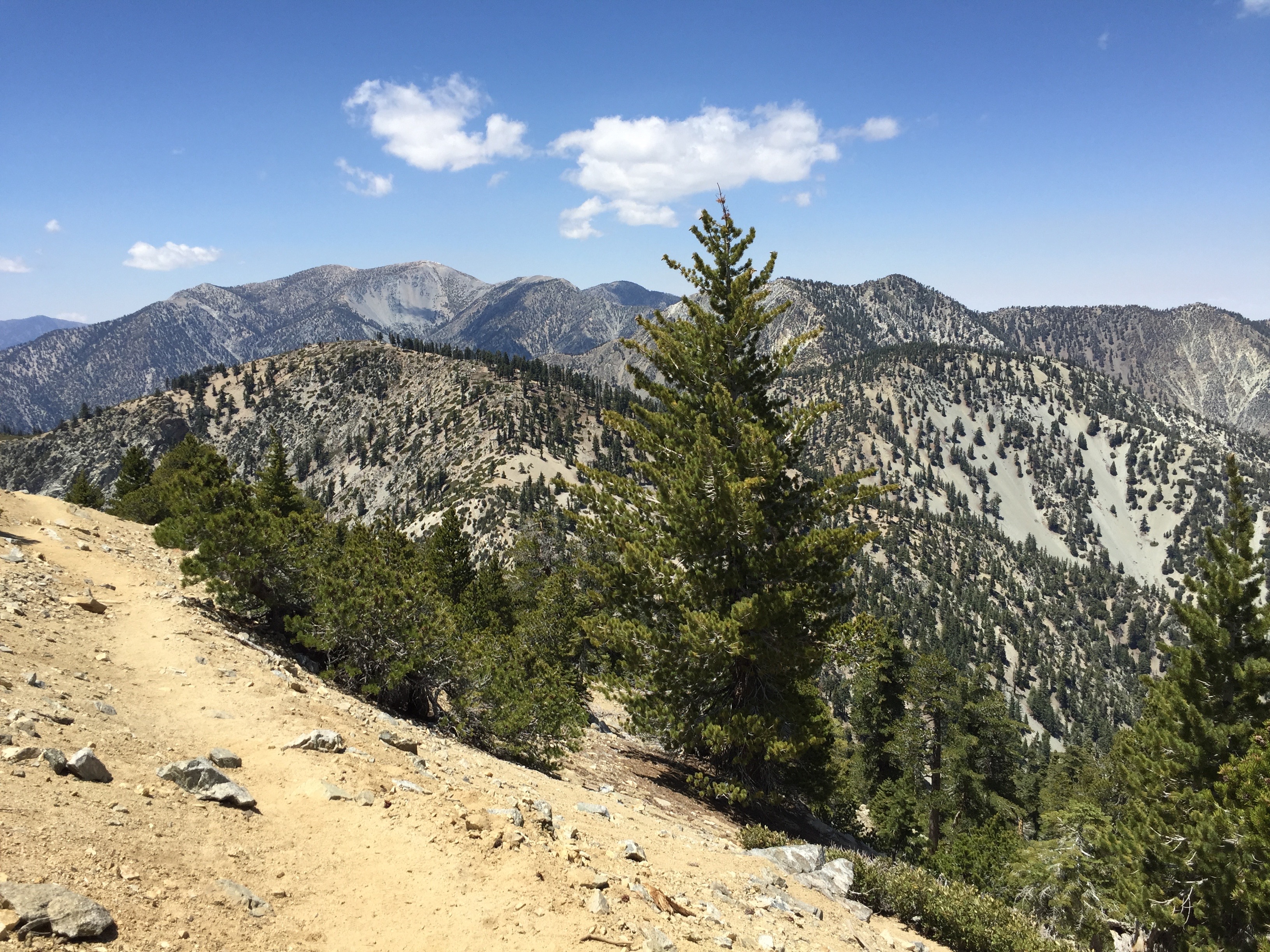 Cedar Glen Camp