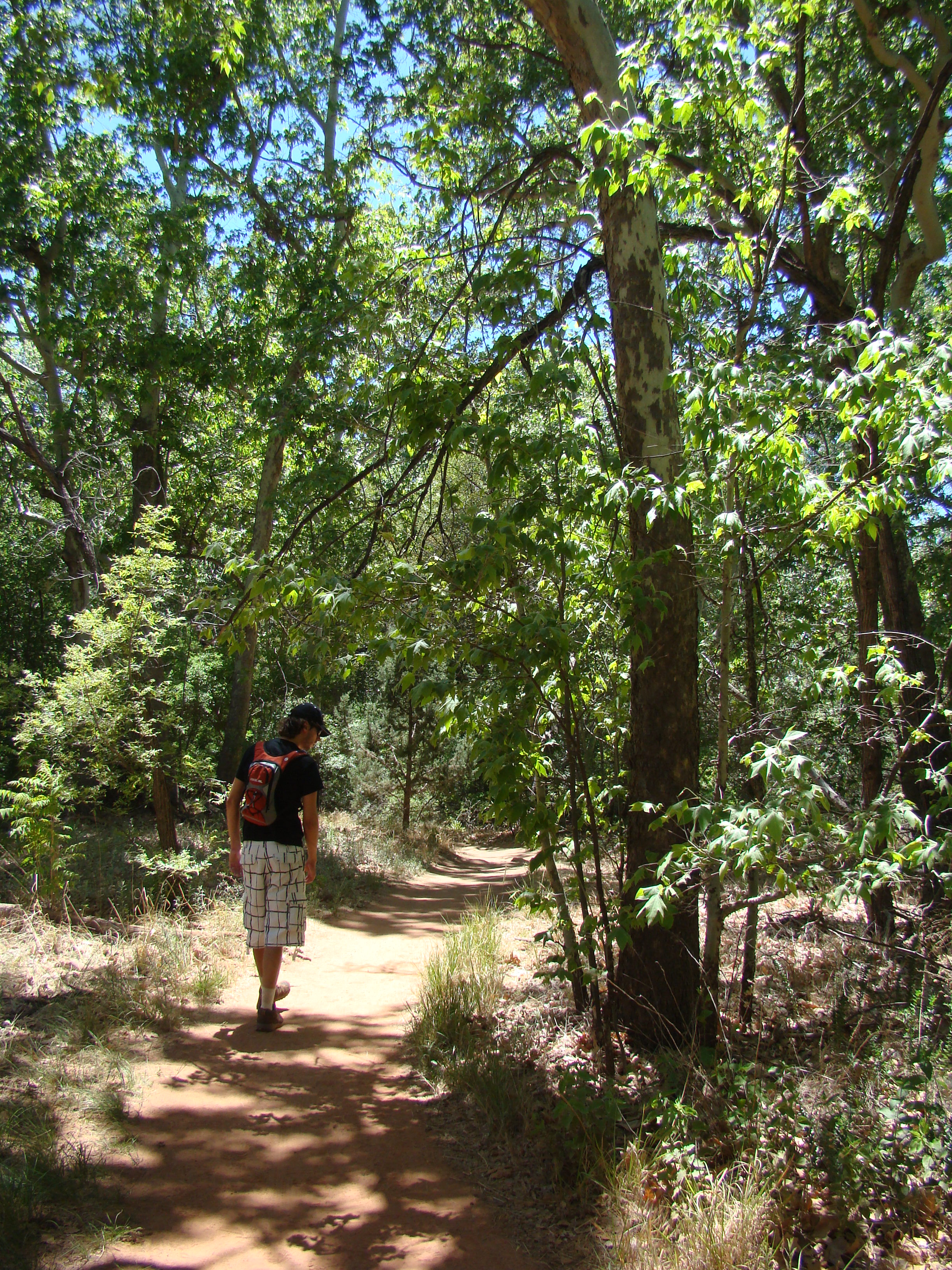 Templeton Trail to Oak Creek
