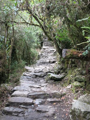 Hiking Machu Picchu Mountain (Montaña)