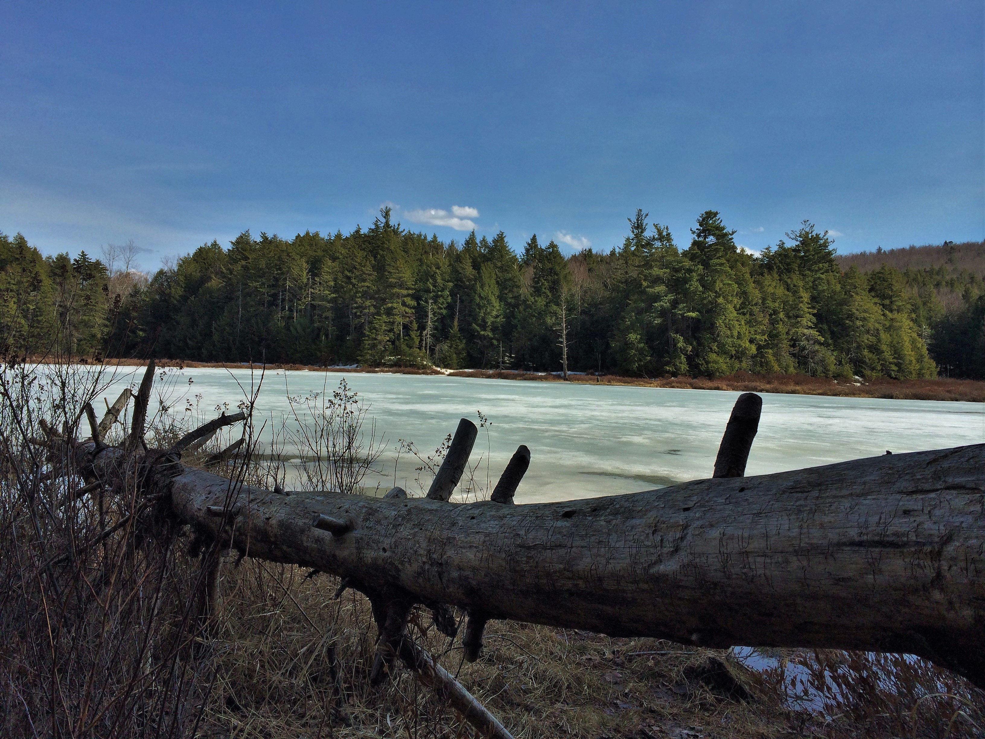 Black Mountain Loop