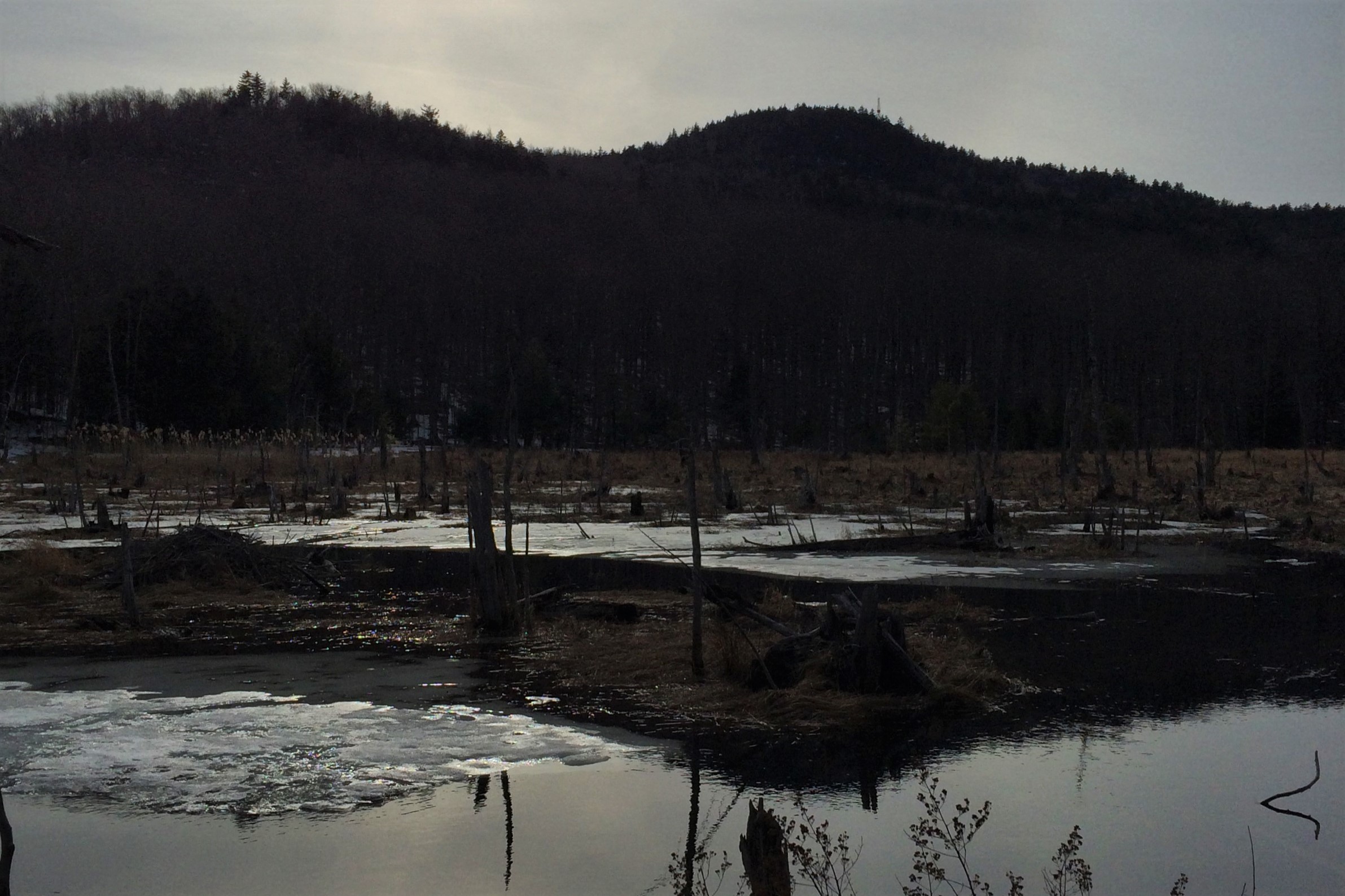 Black Mountain Loop