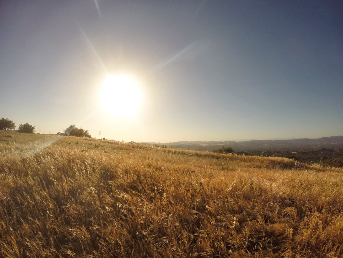 Top of Topanga Overlook