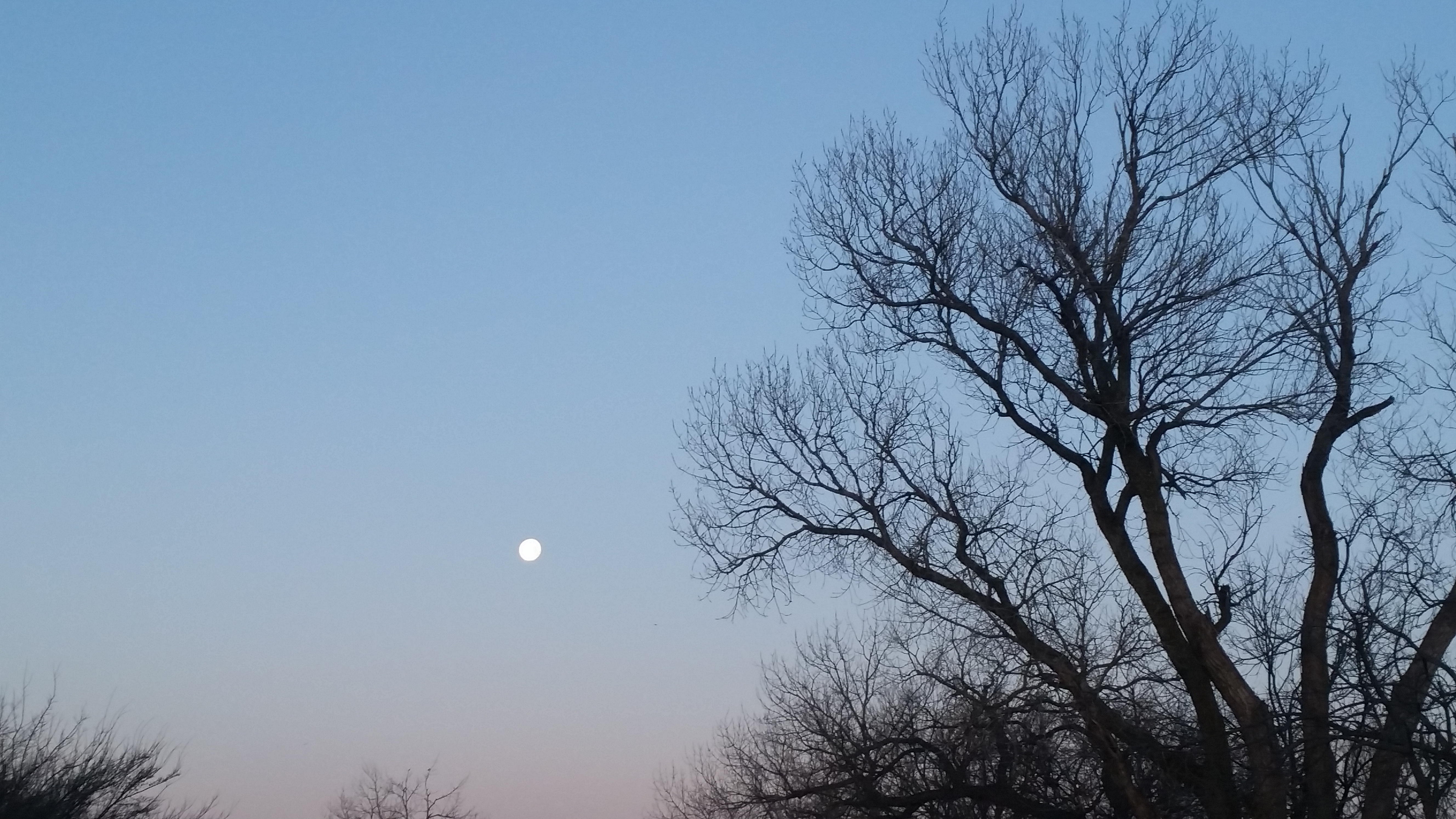 Run along the Shore of Lake Hefner