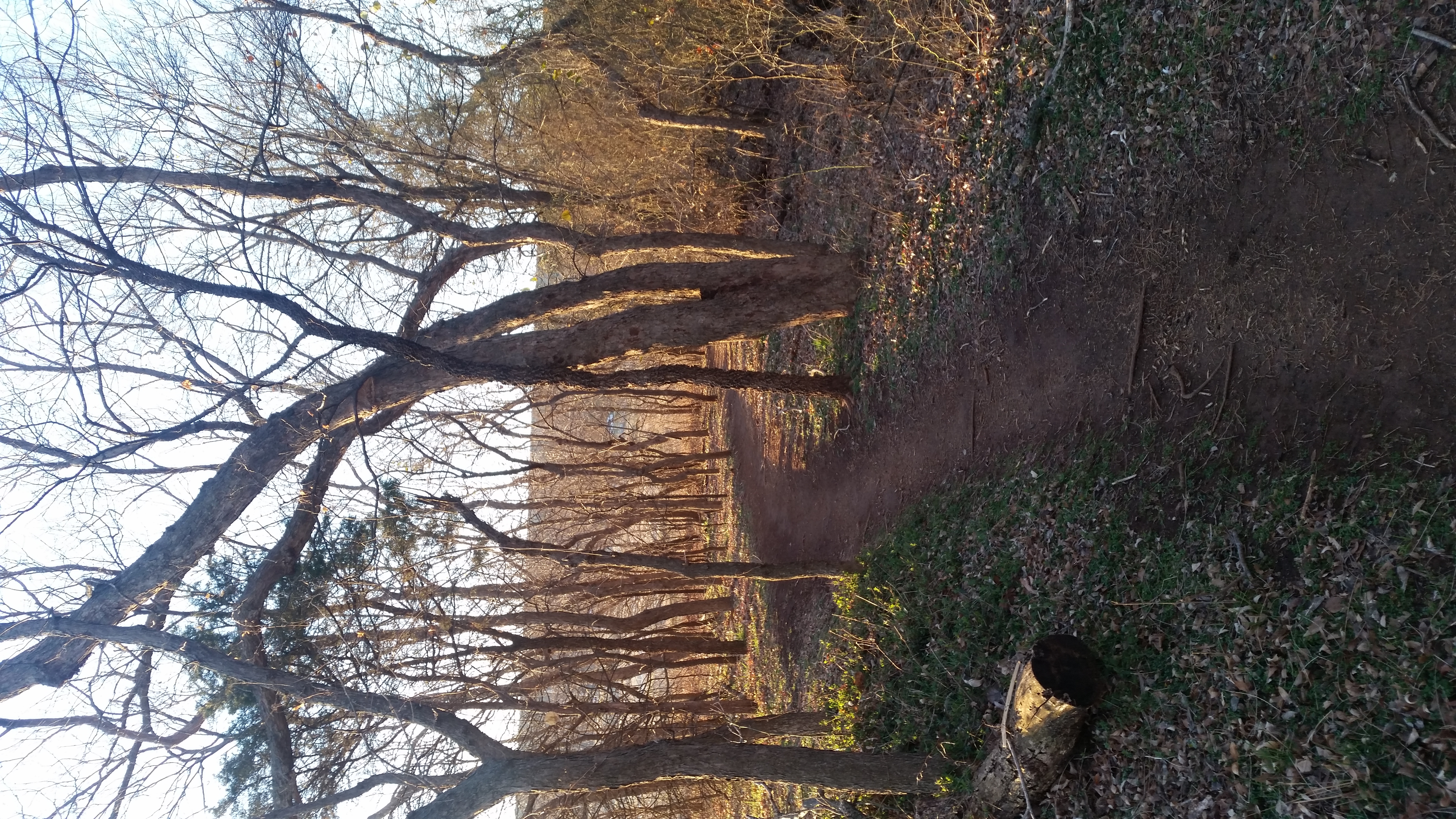 Run through Bluff Creek Park in Oklahoma City