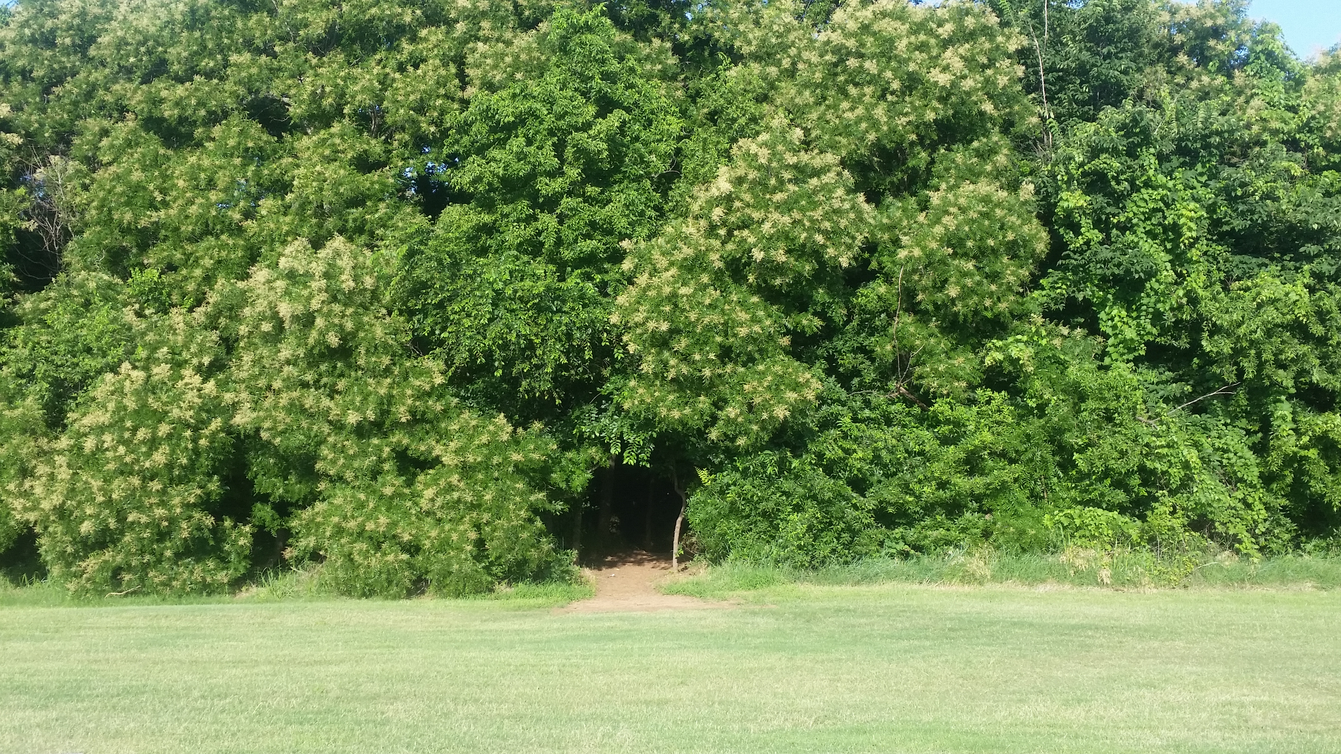 Run through Bluff Creek Park in Oklahoma City
