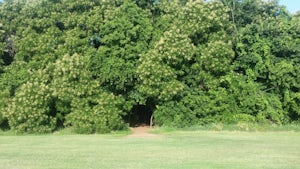 Run through Bluff Creek Park in Oklahoma City
