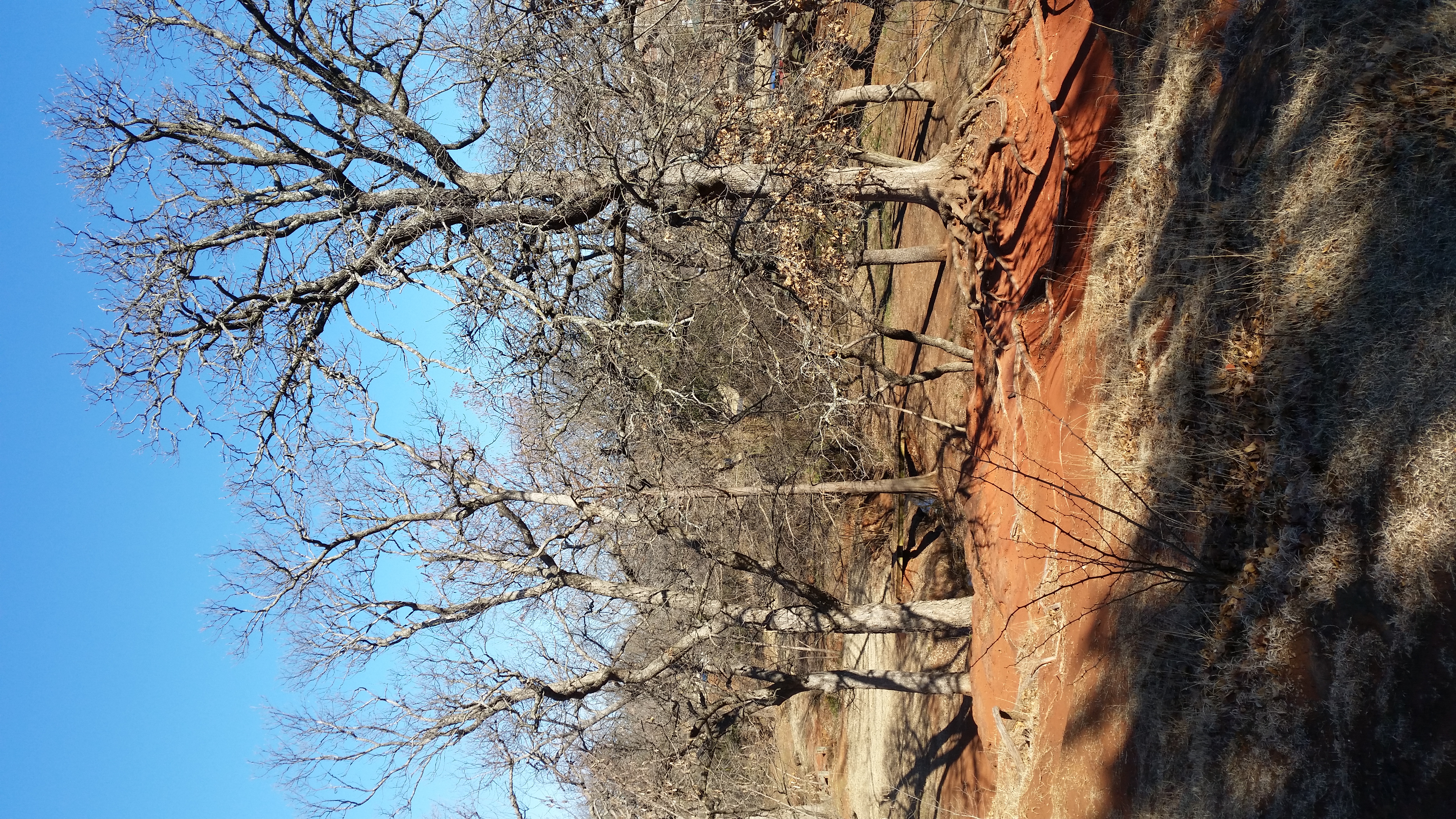 Run from Fink Park to Hafer Park Loop