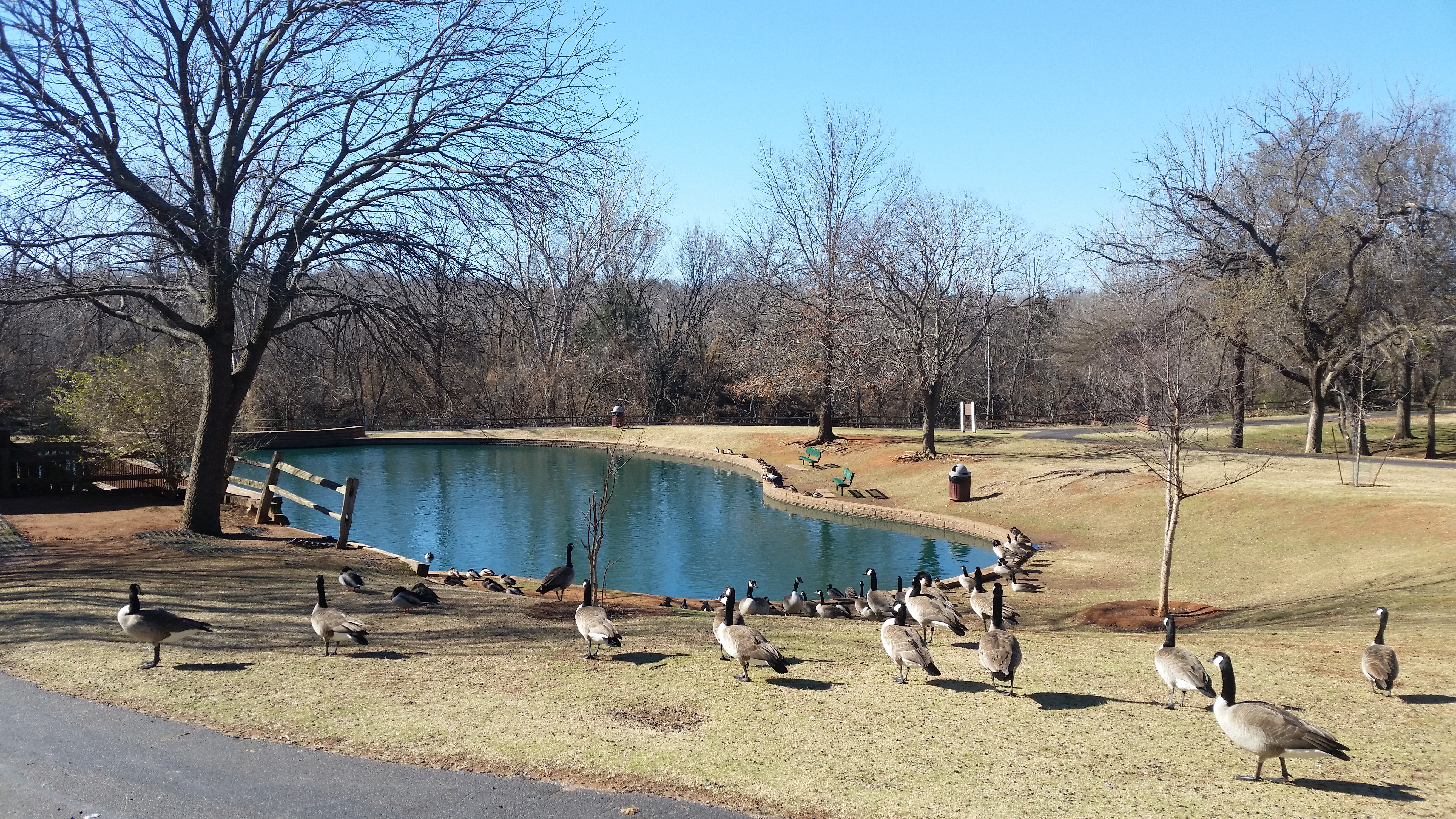 Run from Fink Park to Hafer Park Loop