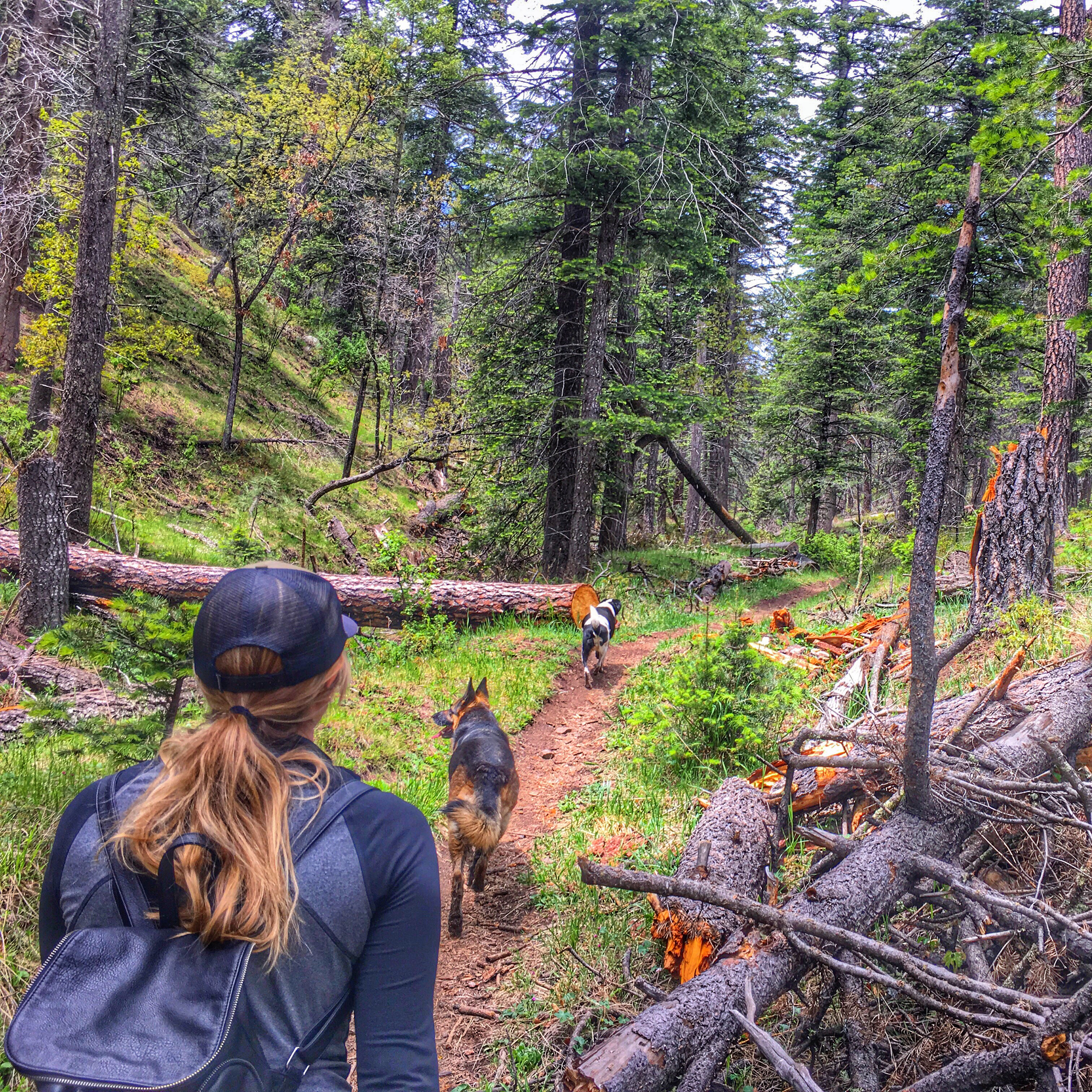 Hike Perk Canyon