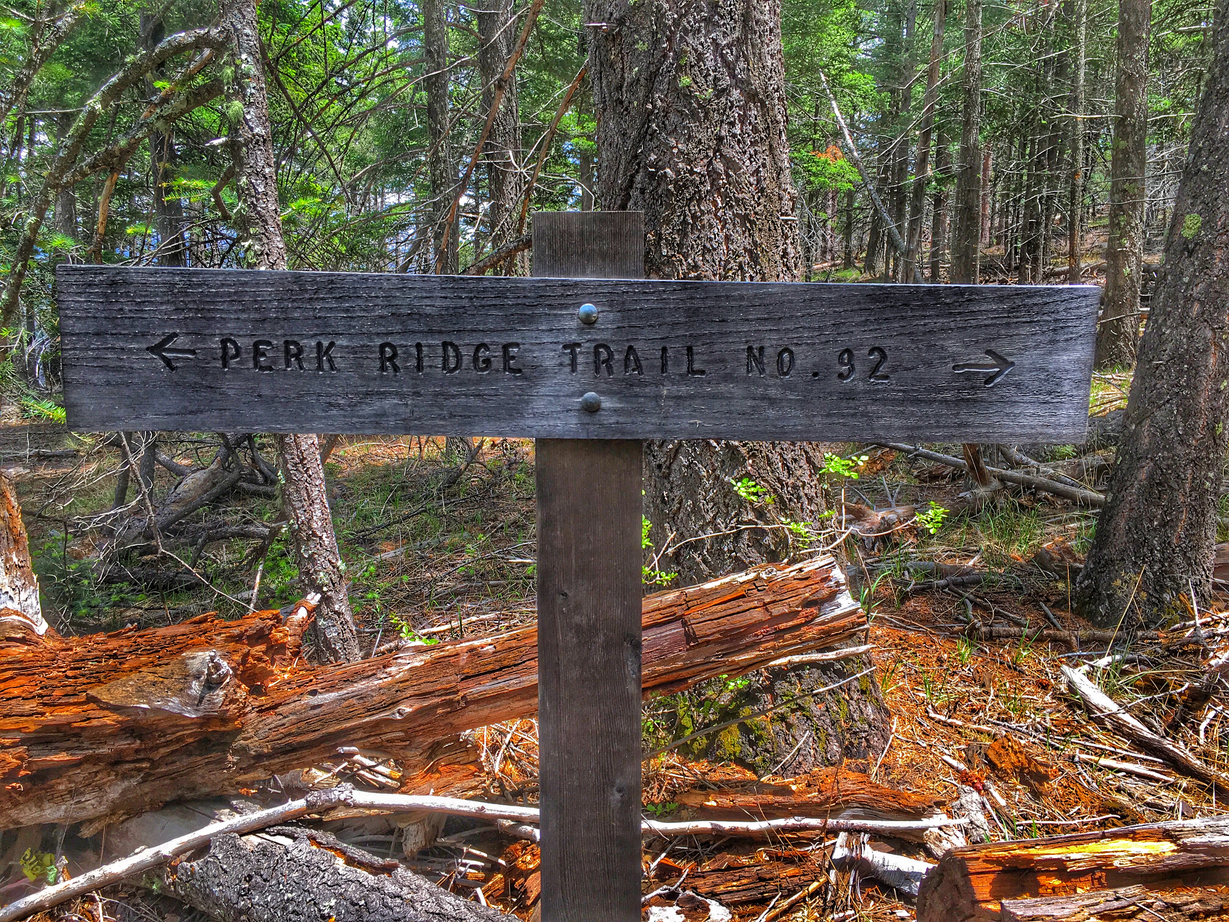 Hike Perk Canyon