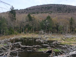 Camp at Sugarloaf Mountain in the Catskills