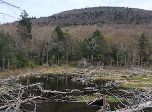 Camp at Sugarloaf Mountain in the Catskills