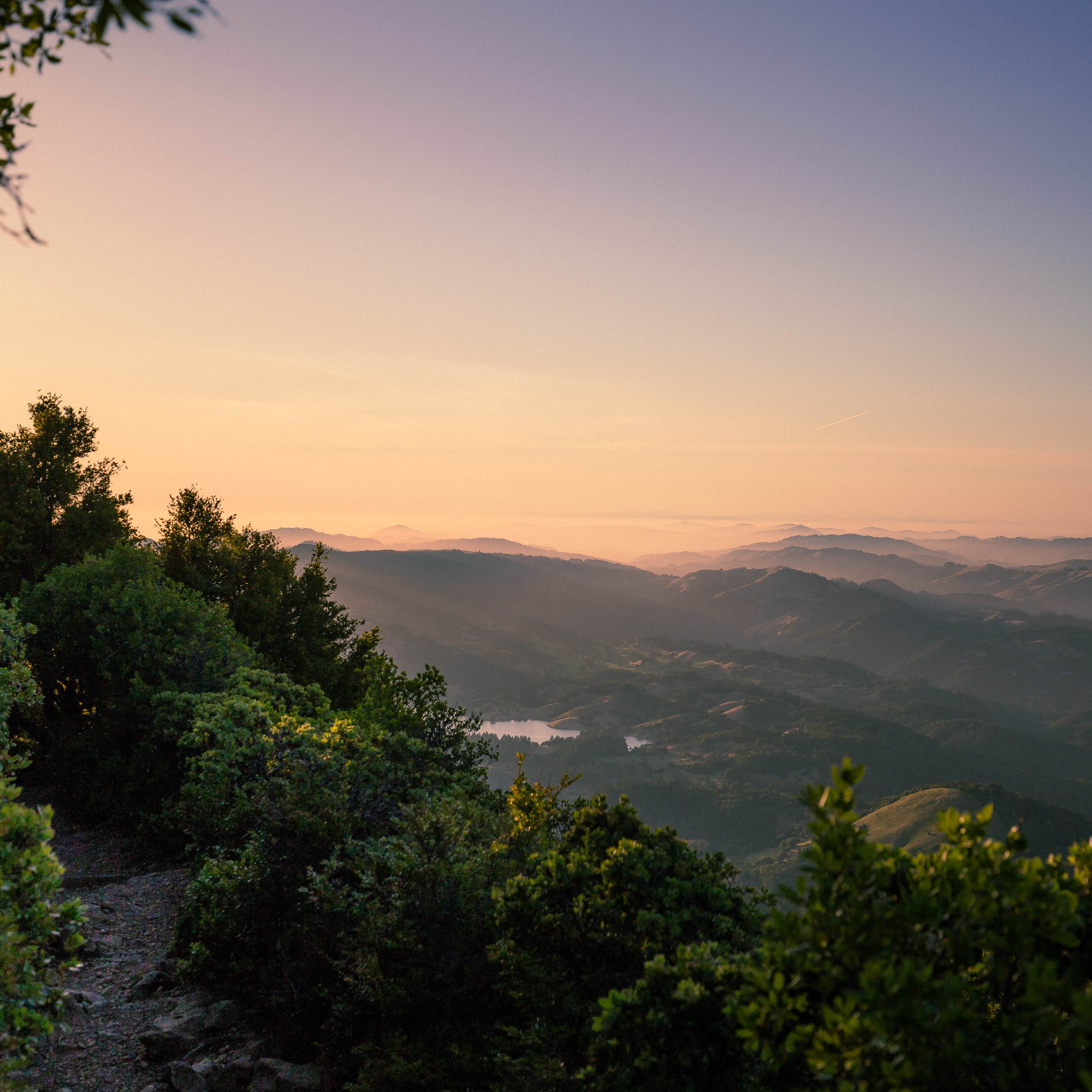 5 Calf Crushing Trail Runs In The San Francisco Bay Area