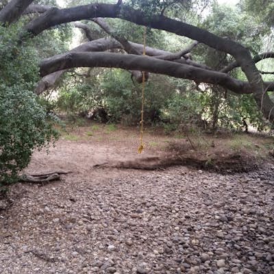 Hike to the Rope Swing in Tecolote Canyon